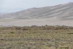 PICTURES/Great Sand Dunes National Park/t_P1020326.JPG